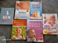 Babybücher, Stillen, Babybrei, Ratgeber Dithmarschen - Tellingstedt Vorschau