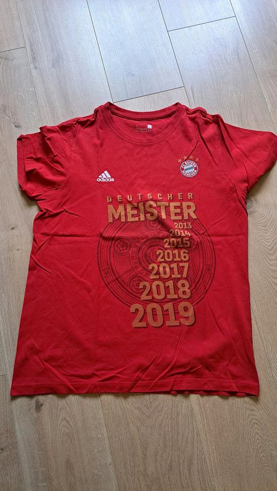 FC Bayern Fanshirt 2019 L in Wichtshausen