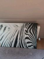 Zebra Bild auf Leinwand Schleswig-Holstein - Beidenfleth Vorschau