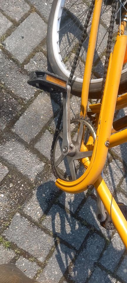 DDR Fahrrad Pneumant Oldtimer in Uplengen