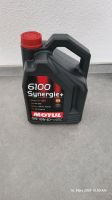 5 Liter 102781 Motul 6100 Synergie Hessen - Liederbach Vorschau