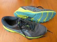 asics Laufschuhe GT-1000 Gr. 46,5 Hessen - Rosbach (v d Höhe) Vorschau