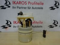 Citroen C3 Peugeot 307 Kraftstoffpumpe 9632672080g Benzinpumpe Baden-Württemberg - Bruchsal Vorschau