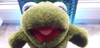 "KERMIT"- Muppetshow Handpuppe- 28 cm lang- gebraucht- selten Nordrhein-Westfalen - Bedburg-Hau Vorschau
