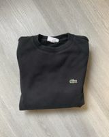 Lacoste Sweater M Niedersachsen - Uchte Vorschau