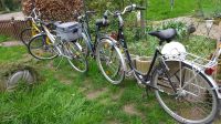 4 verschiede Räder Rad Fahrrad 26 Zoll 28 Zoll City Bike Damen Nordrhein-Westfalen - Barntrup Vorschau