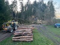 Forstdienstleistungen aller Art, Wald, Stammholz, Brennholz Bayern - Merkendorf Vorschau