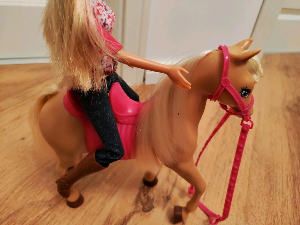 Reiter Barbie mit Schülerin und Pferd in Berlingerode