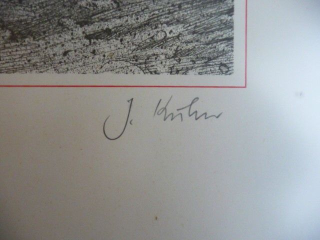 J.B. Kuhn  Lithografie / Steindruck ?, Vogel oder Adlernest ? Rog in Pfungstadt