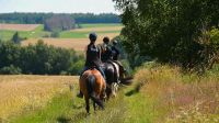 Feierabend- Ausritte auf Leihpferden Sachsen-Anhalt - Hasselfelde Vorschau