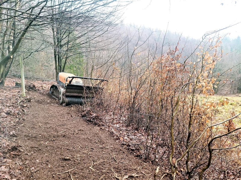 VERMIETUNG 60PS Mähraupe Forstmulcher Mulchraupe Energreen Mieten in Seesen