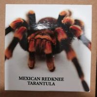 Mexican Redknee Tarantula 1/2 oz Silber 2012 Hessen - Oberursel (Taunus) Vorschau