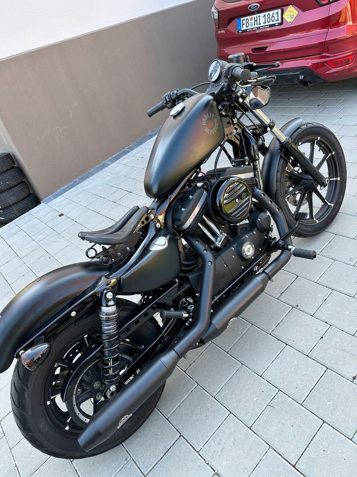 Harley Davidson Iron Sportster 883 in Scheyern