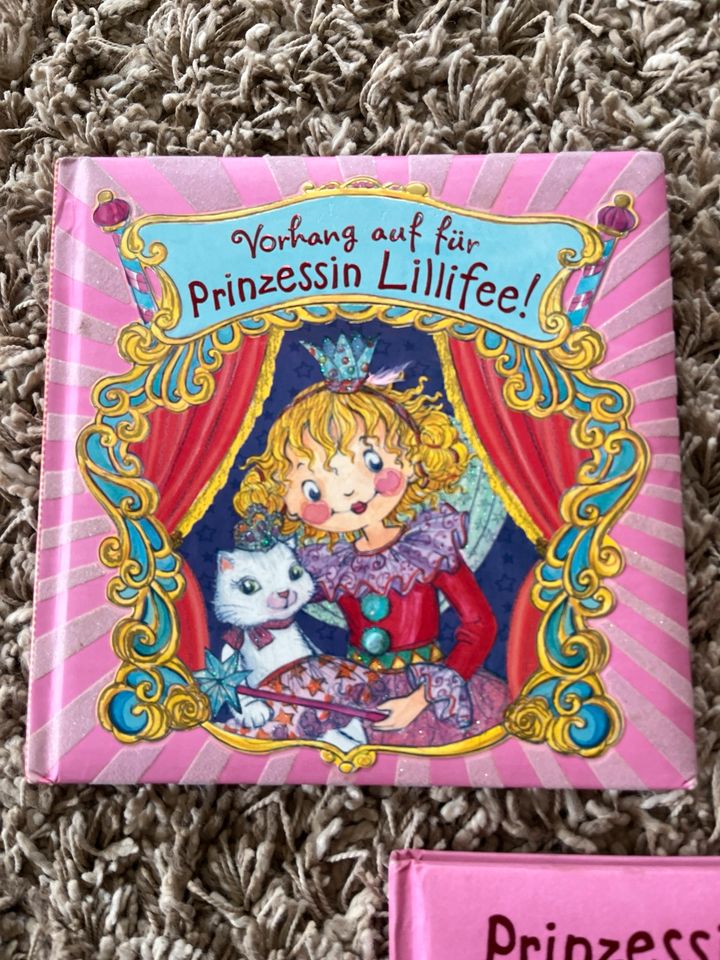 Kinderbücher Prinzessin Lillifee in Laer