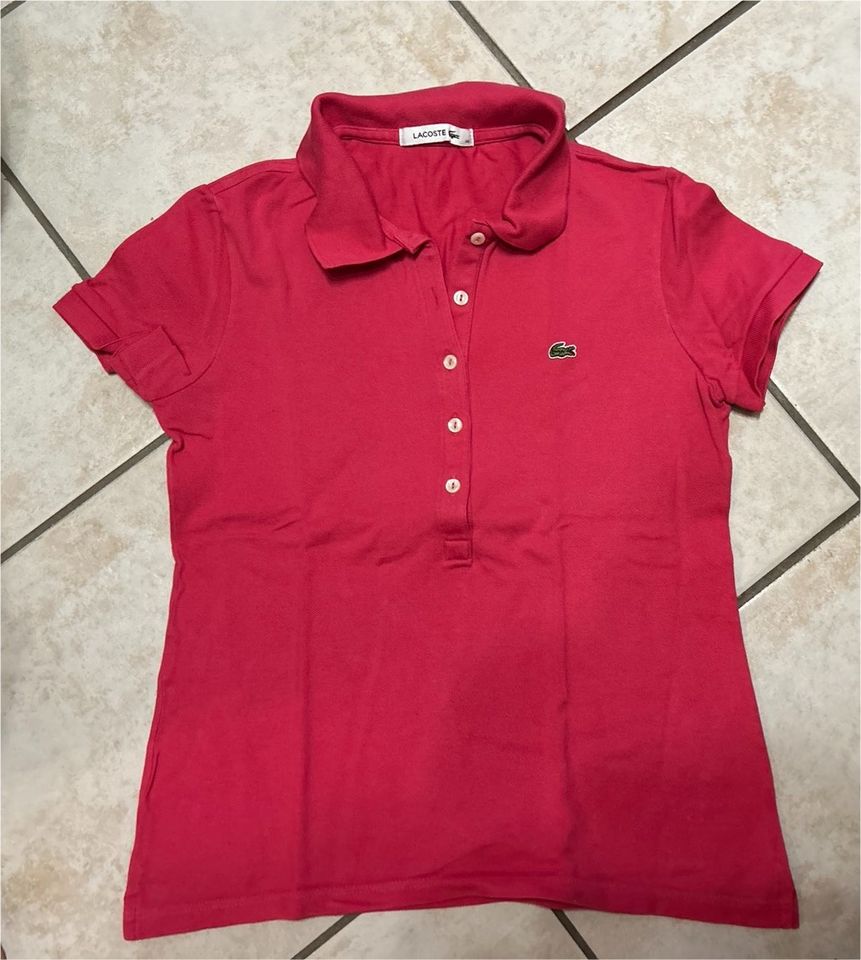 Lacoste Shirt Gr.36 in Norderstedt