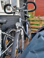 Herrenfahrrad PEGASUS AVANTI Alu Schleswig-Holstein - Lütjenburg Vorschau