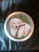 Wanduhr Hund/Welpe, Kinder-Uhr, Kinderzimmer, 25cm Nordrhein-Westfalen - Leopoldshöhe Vorschau