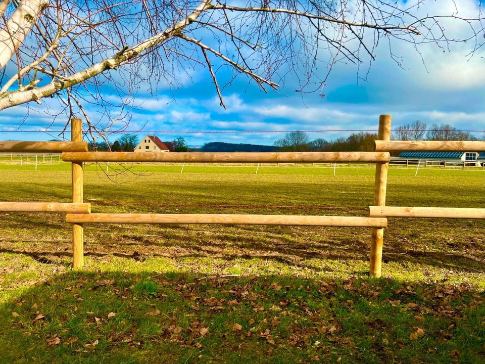 Weidezaun Koppelzaun Pferdezaun Zaun Holz Pfähle - 200 METER SET in Lennestadt