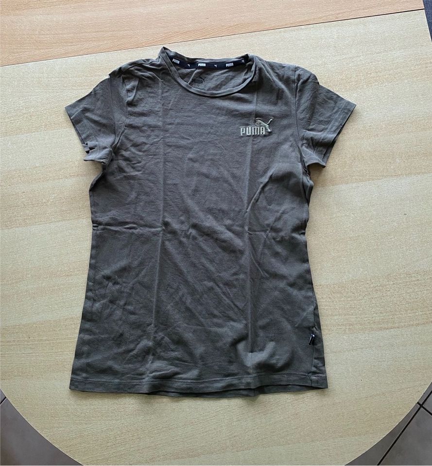 Puma T-Shirt S 36 Khaki in Elzach