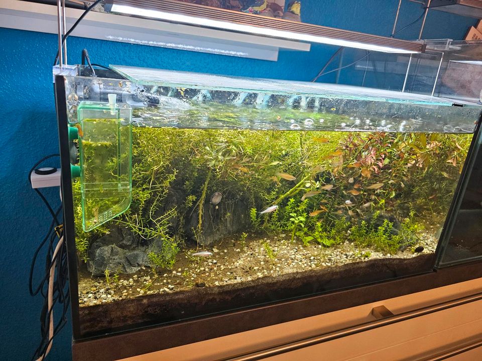 Aquarium Weißglas mit Pumpe und Beleuchtung zu verkaufen in Viersen