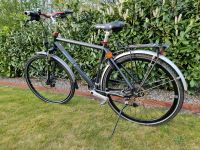 Trekking Bike Wheeler E-Allterra, Ehemaliges 45 km/h,Rahmen 52 cm Niedersachsen - Eicklingen Vorschau