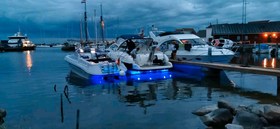 Sportboot Motorboot Tullio Abbate Exception 33 2 x Volvo Penta D4 in Eberswalde