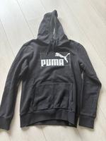 Hoodie Puma Gr. M Altona - Hamburg Iserbrook Vorschau