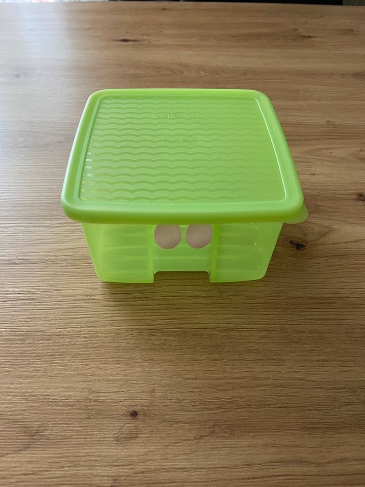 Tupperware Prima Klima 1l - NEU in Regensburg