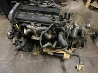 Motor, Getriebe, Ford, Focus, Focus Mk1, 1,8L, DNW Nordrhein-Westfalen - Detmold Vorschau