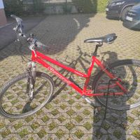 Damen Mountainbike Hessen - Rodgau Vorschau