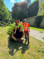 Baumpflege / Problembaumfällungen / Kranfällung Bayern - Neukirchen bei Sulzbach Rosenberg Vorschau