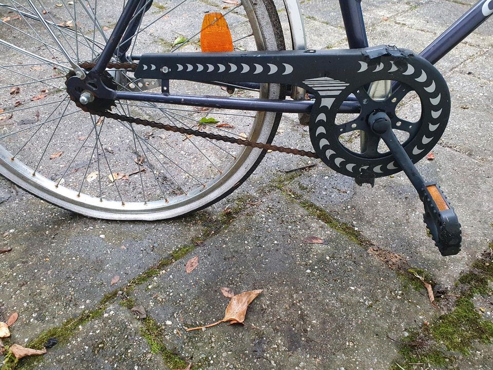 Fahrrad Capriolo, 26er, Bike, Rad, Damen/ Herrenrad in Bonn