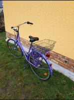 Damenfahrrad Simplex Nostalgie Holland Sachsen-Anhalt - Schkopau Vorschau