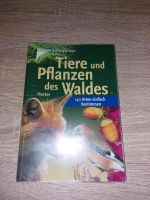 Tiere und Pflanzen des Waldes / Naturführer Sachsen - Niesky Vorschau
