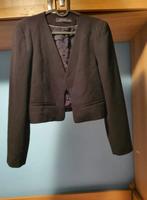 Jacke Zara XL Sachsen - Wachau Vorschau