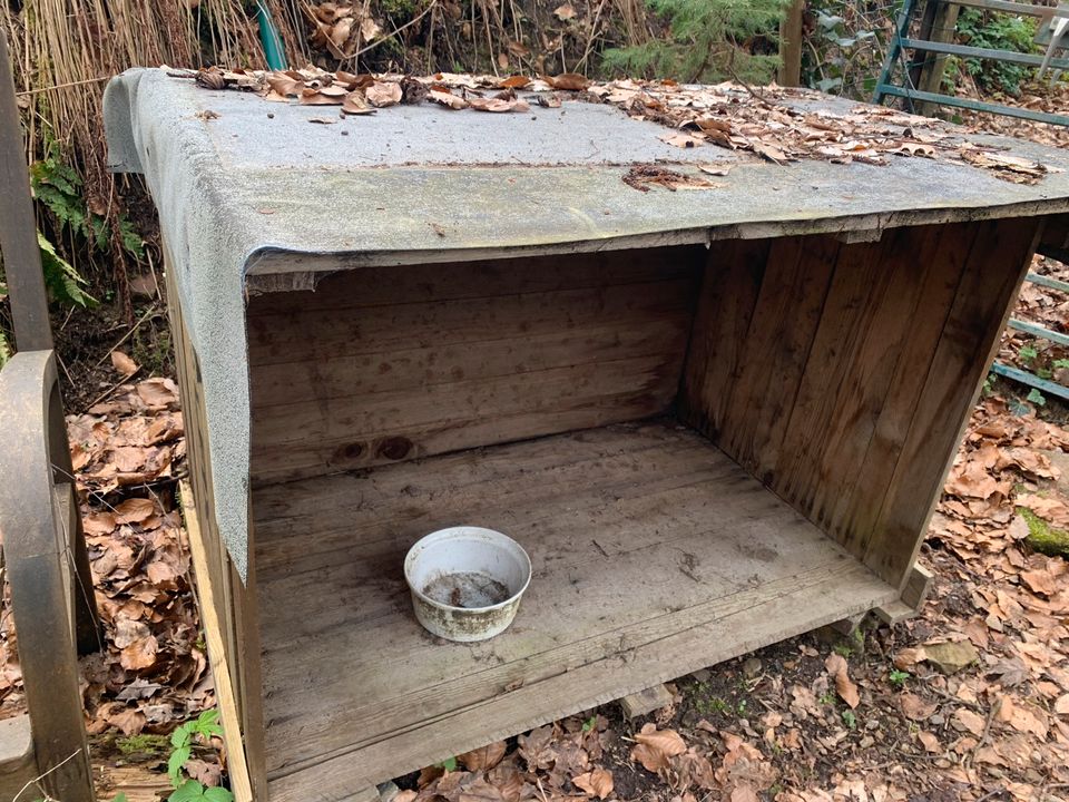 Hühner Enten Geflügel Stall Holzkisten Legekisten in Attendorn