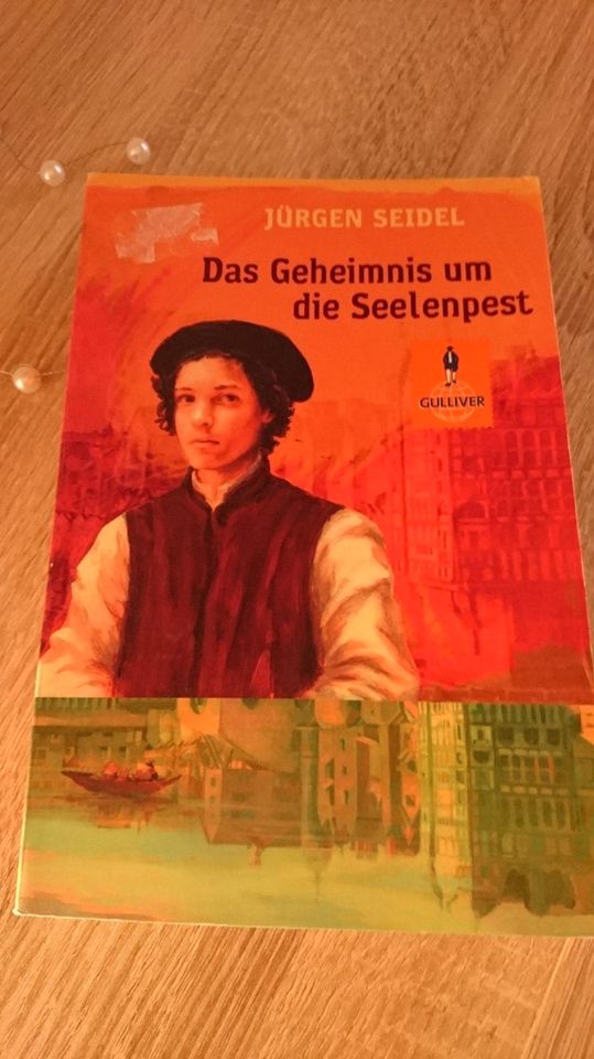"Das Geheimnis um die Seelenpest" Taschenbuch ab 14 Jahren in Mühlhausen