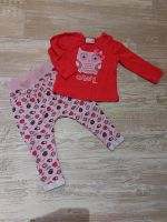 Mädchen Set Pulli Hose mit Eule-Deko Gr. 86 Bayern - Buchloe Vorschau