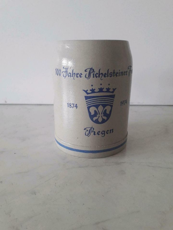 PICHELSTEINER FEST Bierkrug 0,5 L in Mutterstadt