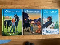 Set aus 3 Ostwind-Büchern Niedersachsen - Edewecht Vorschau