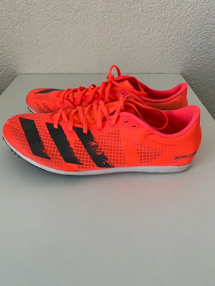 Adidas mit Spikes in Allmersbach