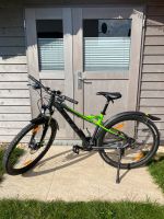 MTB Bulls Sharptail Street 2 29Zoll wie neu Baden-Württemberg - Dornhan Vorschau