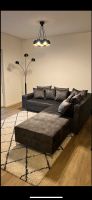 Ecksofa 220cm grau / silber, mit Hocker Niedersachsen - Salzgitter Vorschau