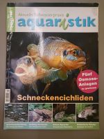 Aquaristik 3/2009 - u.a. SCHNECKENCICHLIDEN - GATTUNG STURISOMA Niedersachsen - Meppen Vorschau