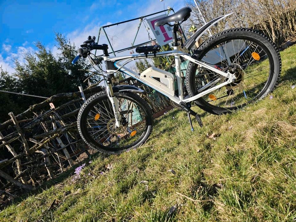 E Bike 25 Kmh mit 21 Gang Shimano Schaltung Top Ausstattung in Vohenstrauß