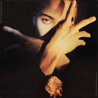 Terence Trent D'Arby's Neither Fish Nor Flesh LP VINYL Baden-Württemberg - Heilbronn Vorschau