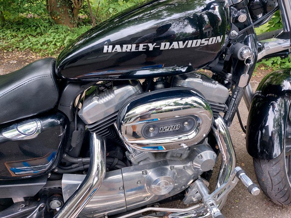 Harley Davidson Sportster 883 (XL883L) Superlow TÜV 05/26 in Memmingen