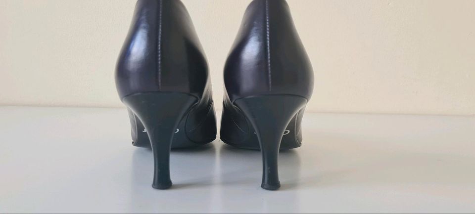 Gabor Pumps Aubergine / lila in Wunstorf