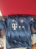 Adidas FC Bayern München Warmtop Baden-Württemberg - Auenwald Vorschau