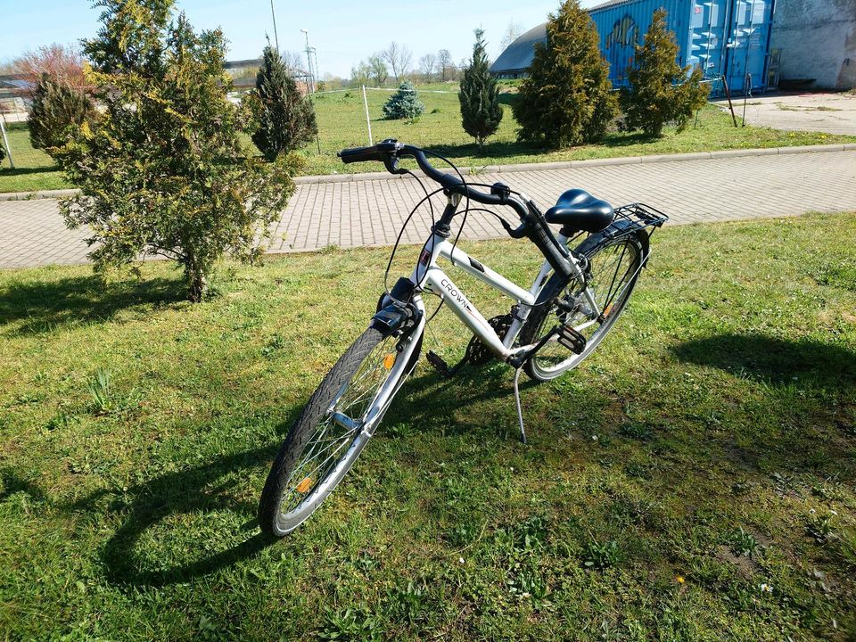 Citybike 26er in Treben